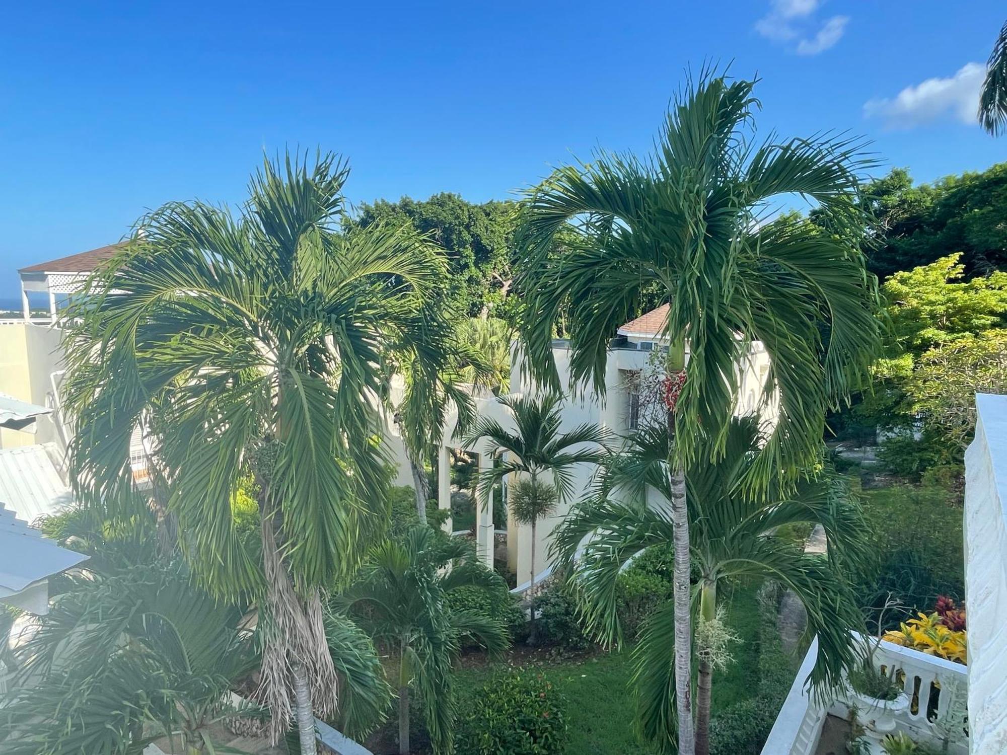 Oceanbreeze Jamaica Penthouse, 7-Minute Walk To Beach Ocho Rios Exterior foto