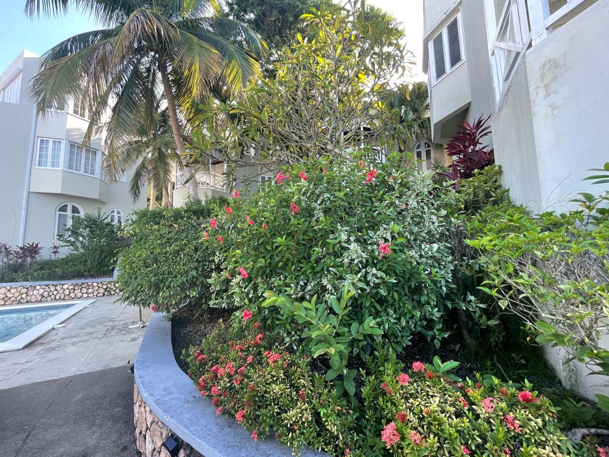 Oceanbreeze Jamaica Penthouse, 7-Minute Walk To Beach Ocho Rios Exterior foto